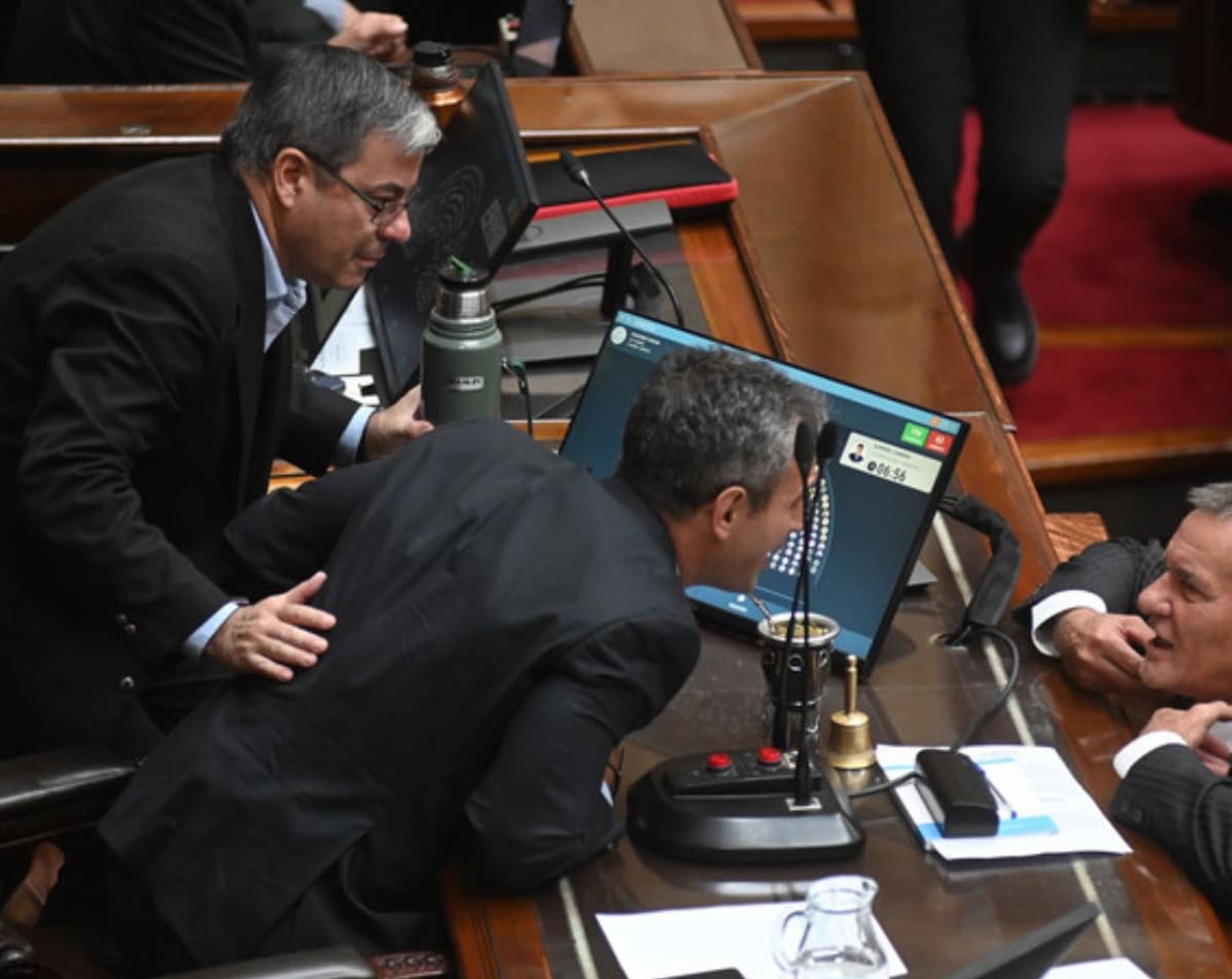 🔥 Tensión en el Congreso: Selva le puso los puntos a Menem tras una sesión de alto voltaje